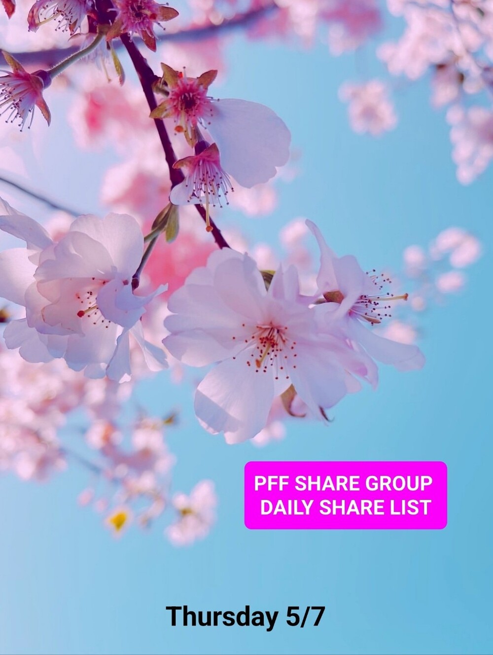 May 7  👠👗 PFF SHARE GROUP🛍👗💍